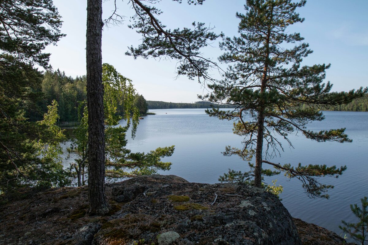 Kesäinen järvinäkymä kansallispuiston kallioilta katsottuna