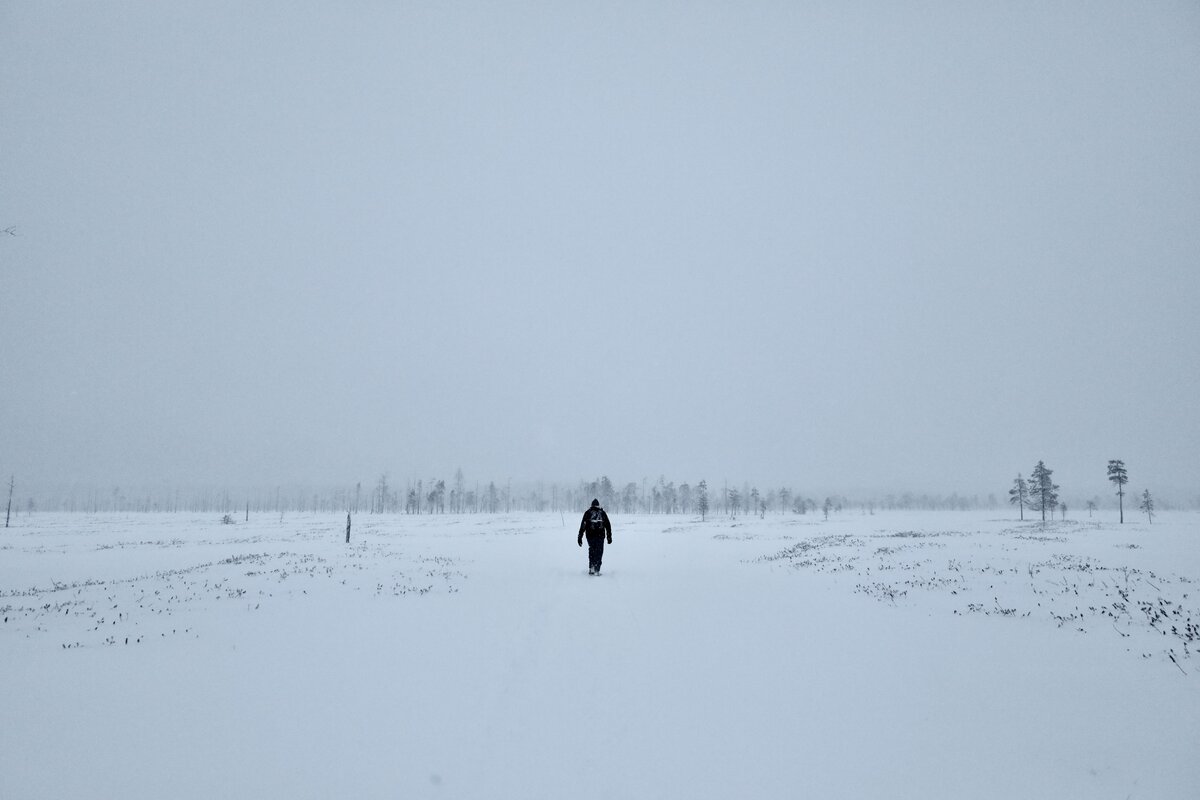Luminen polku talvisessa kansallispuistossa kuusten keskellä